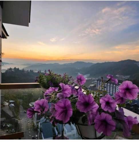 Kensington Sunrise Sg, Palas Horizon,Kea Farm Brinchang Εξωτερικό φωτογραφία